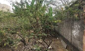 Imagem 4: Lote/Terreno 100% Plano no Bosque do Ipês com 150 metros quadrados