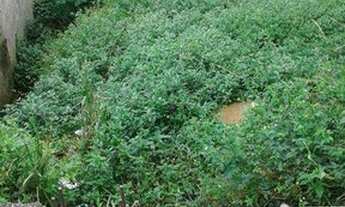 Imagem 5: Terreno à venda, 90 m² por R$ 80.000,00 - Recanto Verde do Sol - São Paulo/SP