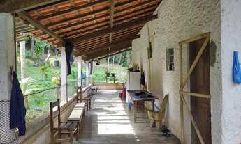 Imagem 4: Sítio pronto para engorda de peixes e com produção de Palmitos Pupunha (Willian Ricardo