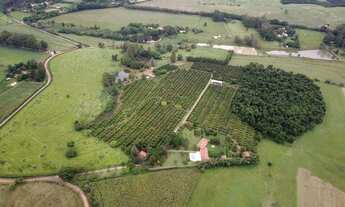 Imagem 5: Sítio - Porto Feliz - SP