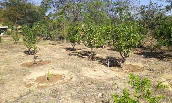 Imagem 7: Chácara de 9.000 m² às margens do Rio das Velhas em Curvelo