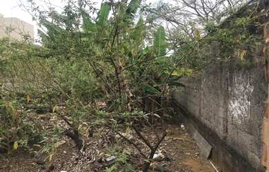 Imagem 5: Lote/Terreno 100% Plano no Bosque do Ipês com 150 metros quadrados