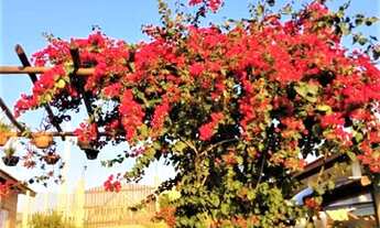 Imagem 2: Linda Chácara em condominio