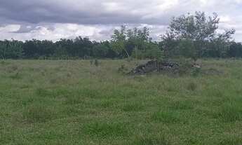 Imagem 3: Lote/Terreno para venda tem 58000 metros quadrados em Vila Galvão - Caçapava - SP