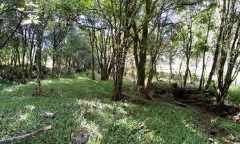 Imagem 2: Terreno Rural Urubici
