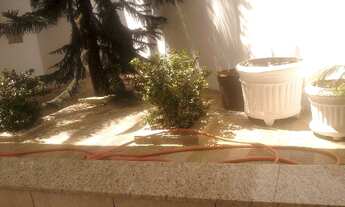 Imagem 10: CASA RESIDENCIAL em SAO JOSE DO RIO PRETO - SP, SAO MARCO