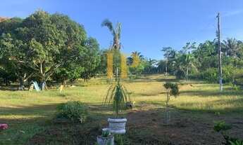 Imagem 2: Vende-se Sítio 12.500 m², no Rio Preto Da Eva