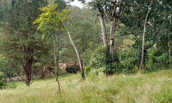 Imagem 7: Terreno com galpão em ipelândia
