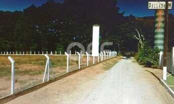 Imagem 3: área - Contendas - Valinhos