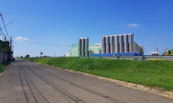 Imagem 6: área - Itapavussu - Cosmópolis