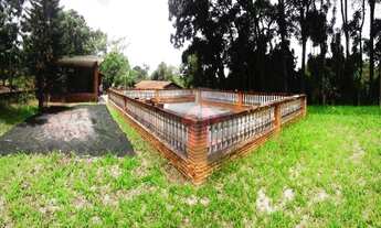 Imagem 7: Chácara com 5 dormitórios à venda, 5000 m² por R$ 650.000,00 - Chácaras Horizonte Azul - M