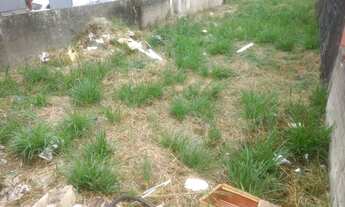 Imagem 5: Caraguatatuba - Terreno Padrão - Praia das Palmeiras