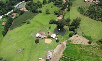 Imagem 5: Sítio de 6,5 alqueires em Pardinho-SP