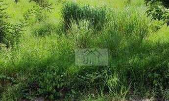 Imagem 6: Terreno à venda, 3488 m² por R$ 430.000,00 - Condomínio Jardim Primavera - Louveira/SP