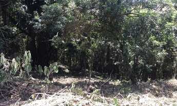 Imagem 2: Lote/Terreno para venda possui 1500 metros quadrados CONDOMÍNIO MORADAS DO SOL - PORTAL RO