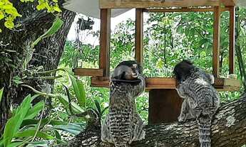 Imagem 3: Chácara - Condomínio Residencial Xingu - Paulínia