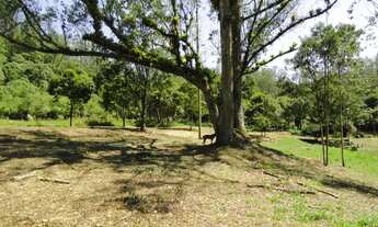 Imagem 4: Ótima Área Para Investidor