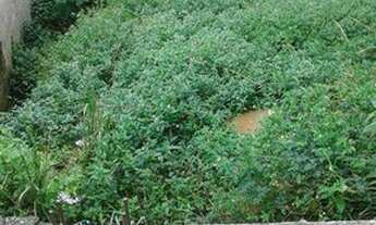 Imagem 4: Terreno à venda, 90 m² por R$ 80.000,00 - Recanto Verde do Sol - São Paulo/SP