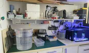 Imagem 6: Excelente apartamento Rua Copacabana