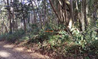 Imagem 4: COTIA - Terreno Padrão - TIJUCO PRETO