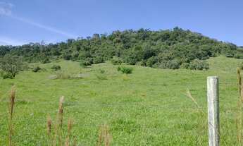 Imagem 6: Sítio, Chácara, Terreno a Venda com 77.500 m² 3,2 Alqueres em Bairro Rural - Porangaba - S
