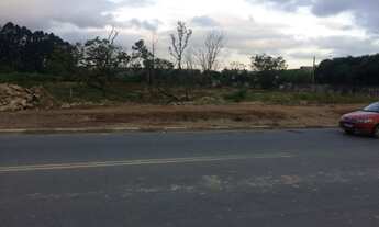 Imagem 5: Terreno 4.000 m2 Jd. Presidente Dutra