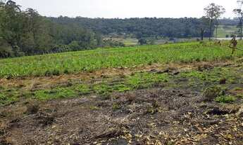 Imagem 7: Terreno no bairro Chácaras Ceres
