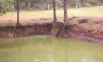 Imagem 6: Chacara Para Venda Região Bairro Cipo Zona Sul - SP