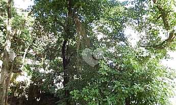 Imagem 4: Apartamento com 3 quartos à venda, 107 m² por R$ 1.680.000 - Lagoa - Rio de Janeiro/RJ