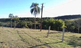 Imagem 5: Sítio à venda, 96800 m² por R$ 800.000,00 - Capituba - Guaratinguetá/SP