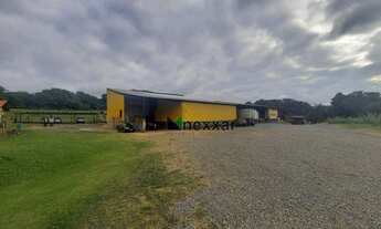 Imagem: Barracão no Macuco, comercial, logística