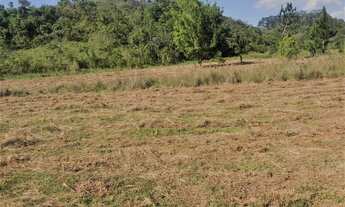 Imagem 4: ÚLTIMOS LOTES!! TERRENOS A VENDA COM VALOR PROMOCIONAL!!!