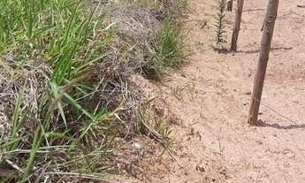 Imagem 3: Terreno À Venda No Ana Cristina