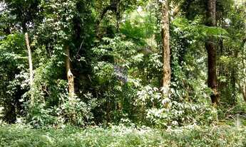 Imagem 4: Lote em Condomínio para comprar Sausalito Mairiporã