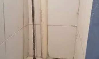 Imagem 6: Alugam se casa e quitinete