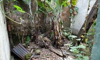 Imagem 3: Casa pra reforma , tem escritura documentação ok
