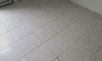 Imagem 6: ASSOBRADADO - IPIRANGA