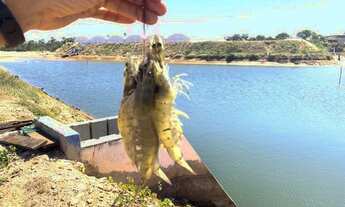 Imagem 5: Arrendamento Fazenda de Camarão