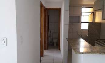 Imagem 4: Estrela de natal