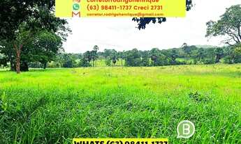 Imagem: Fazenda de oportunidade pecuária Paraíso