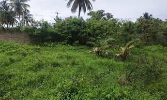 Imagem 2: Lote São Miguel dos Milagres beira mar Alagoas