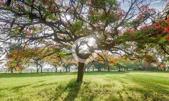 Imagem: Terreno - Tanquinho Velho - Jaguariúna