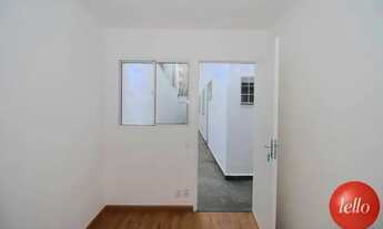 Imagem 3: São Paulo - Casa Comercial - Campo Belo