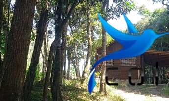 Imagem: Chácara para amantes de mata e natureza