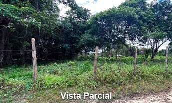 Imagem 3: Terreno - Parintins - AM