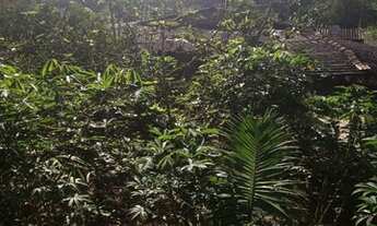 Imagem 3: Vendo belíssima Chácara