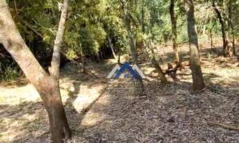 Imagem 6: Chácara à venda, 2000 m² por R$ 180.000,00 - Fazenda Nata - Londrina/PR