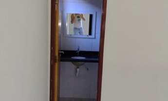 Imagem 3: Alugo casa 606 SUL