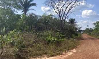 Imagem 6: Vendo 1 Hectare em Altos