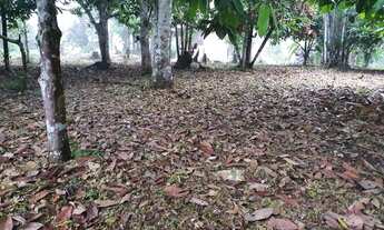 Imagem 6: Sítio BR 174 km126 (Comunidade Jardim Floresta